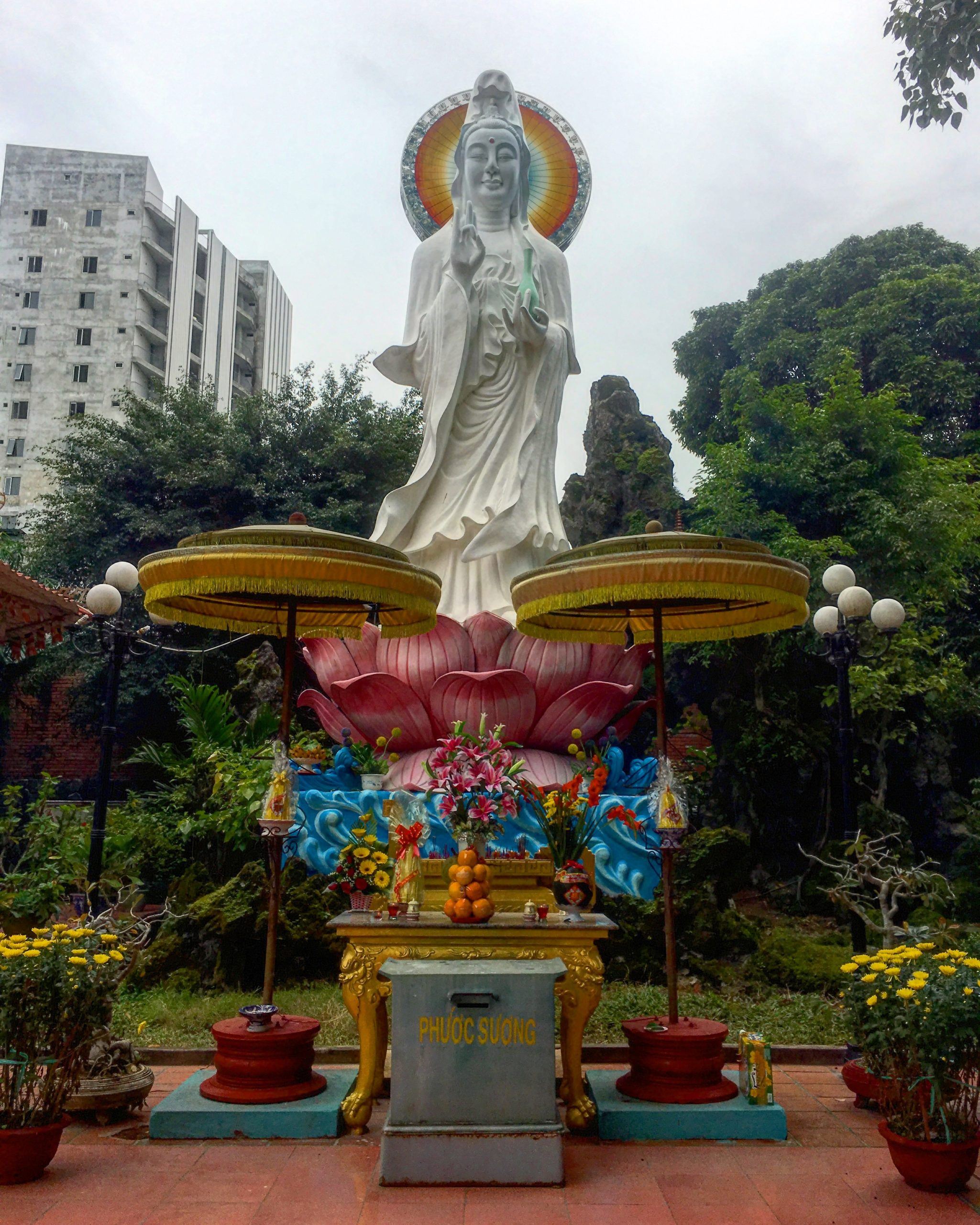 Viet Bunny Files: A Call For Accountability