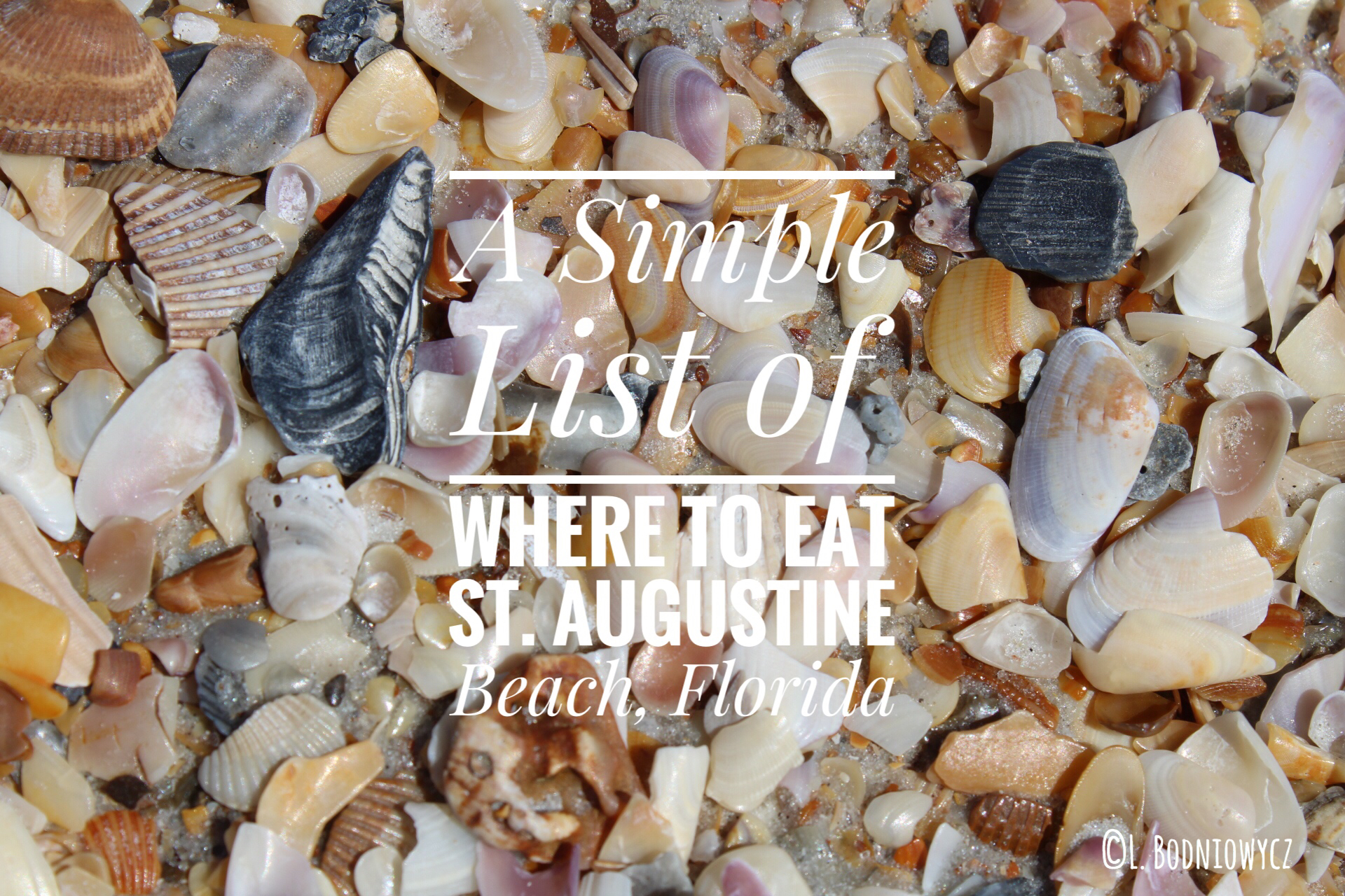 Shells, St. Augustine, Beach Florida