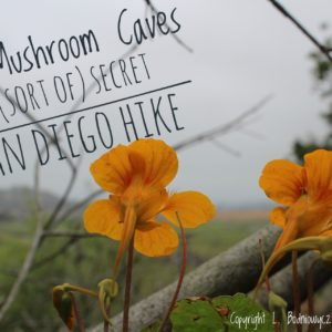 San Diego, Mushroom Caves Hike, Solana Beach