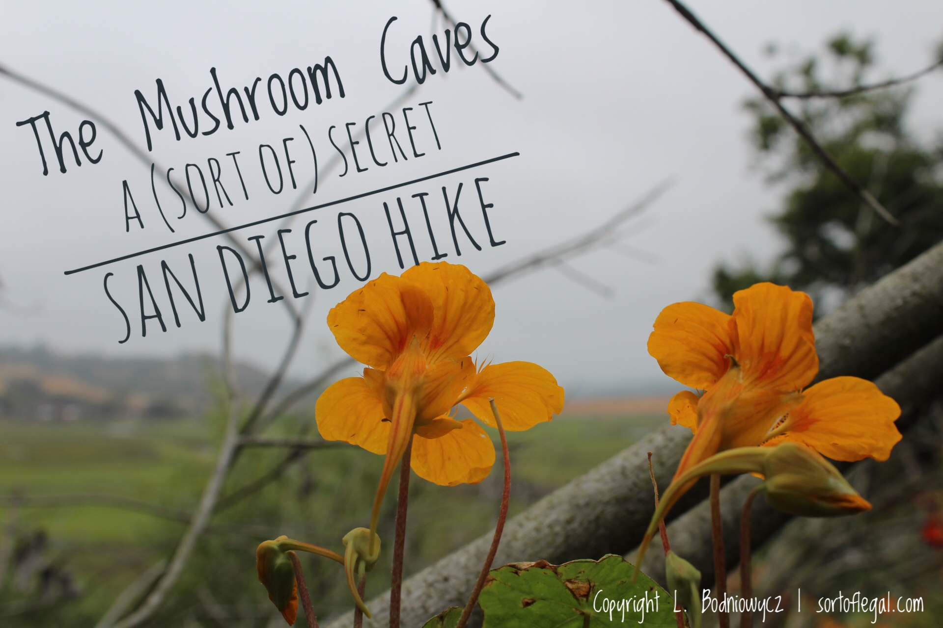 San Diego, Mushroom Caves Hike, Solana Beach
