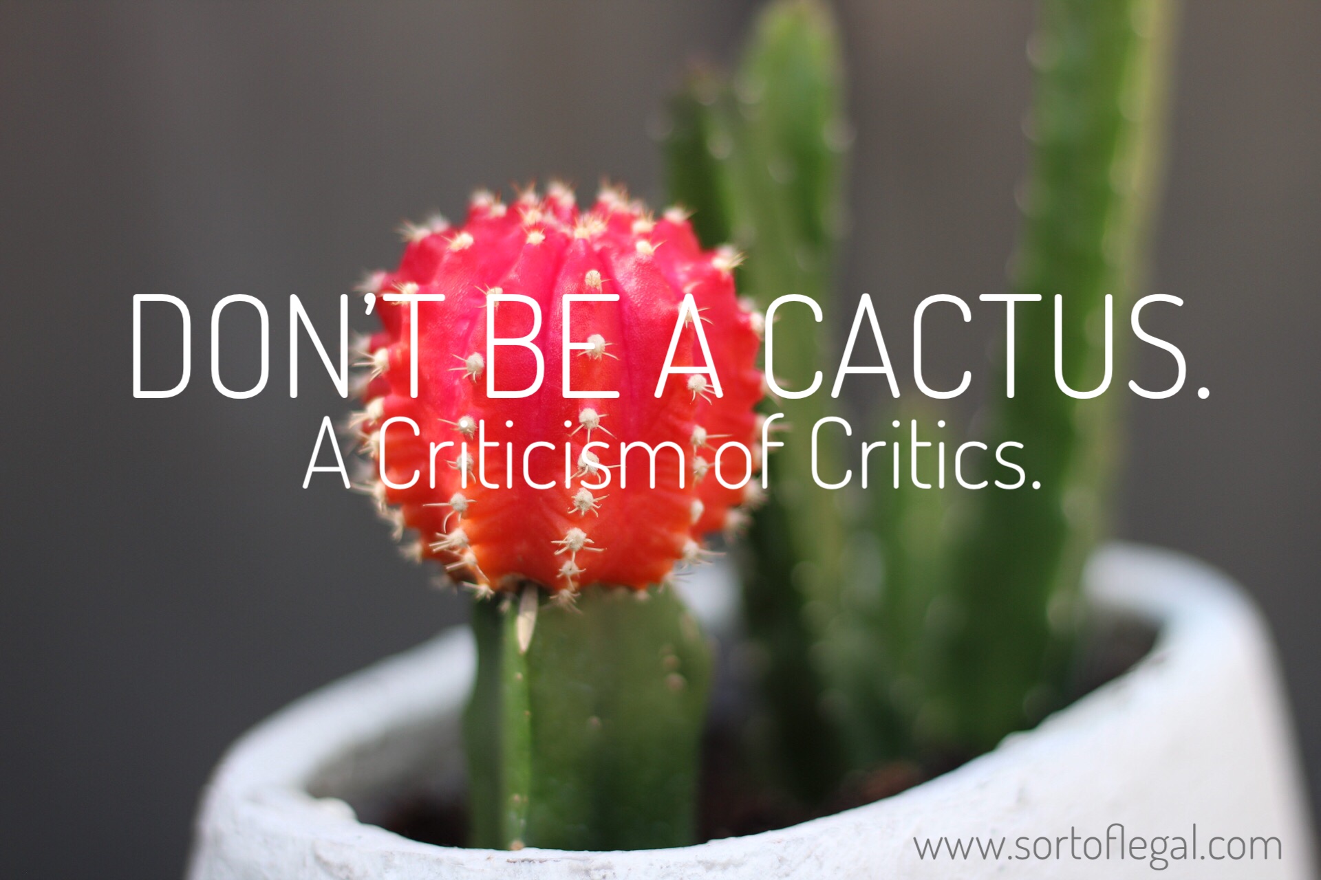 Don't be prickly like a cactus. Internet trolls are not cool.