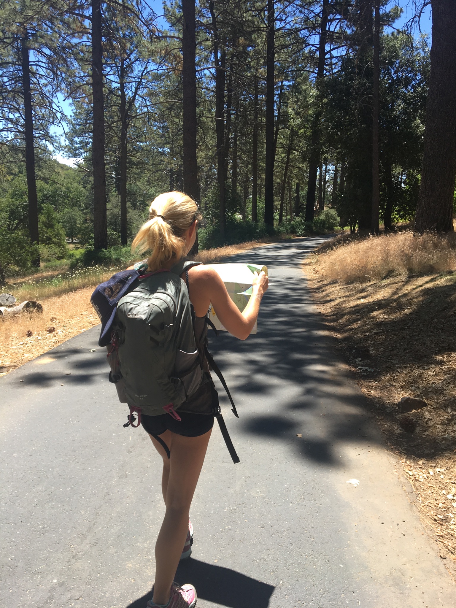 Cuyamaca Rancho State Park, San Diego County, California Day Hike Azalea Glen. Larissa Bodniowycz map reading.