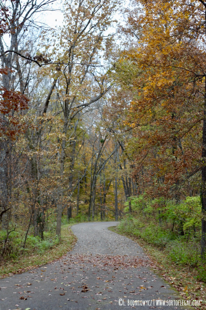 Edwin Warner, Nashville, TN - Fall Leafs