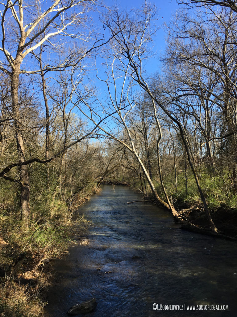 Creek at McCabe Loop Trail, Richland Creek Greenway, Nashville, TN