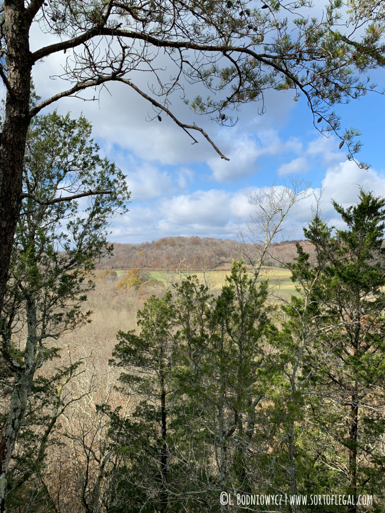 Narrows of the Harpeth, TN - Bluff Overlook Trail