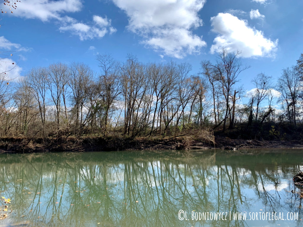 Narrows of the Harpeth, TN - Bluff Overlook Trail