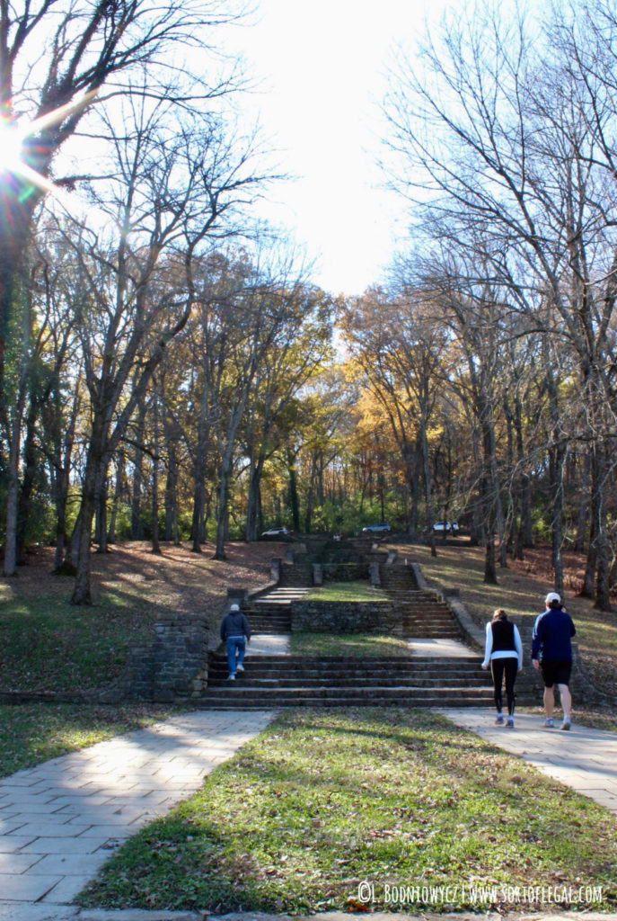 Belle Meade Steps at Percy Warner, Nashville, TN