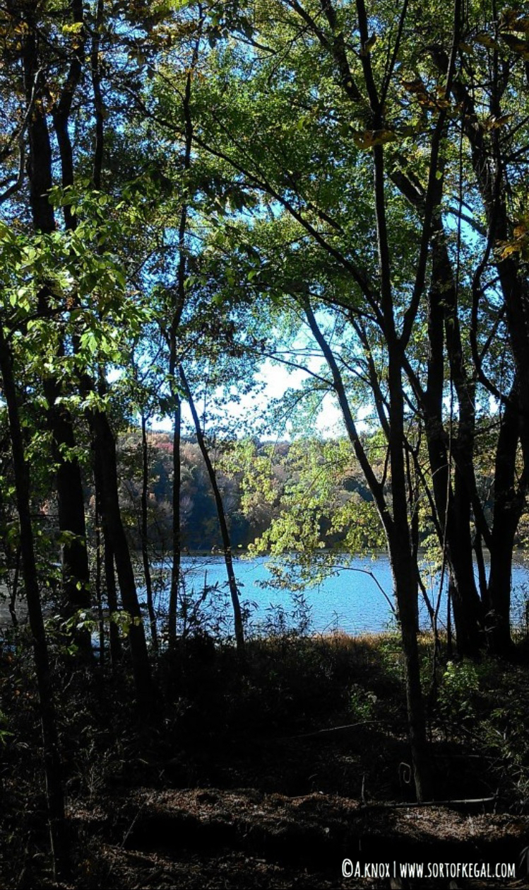 Radnor Lake, Nashville, TN Woods View