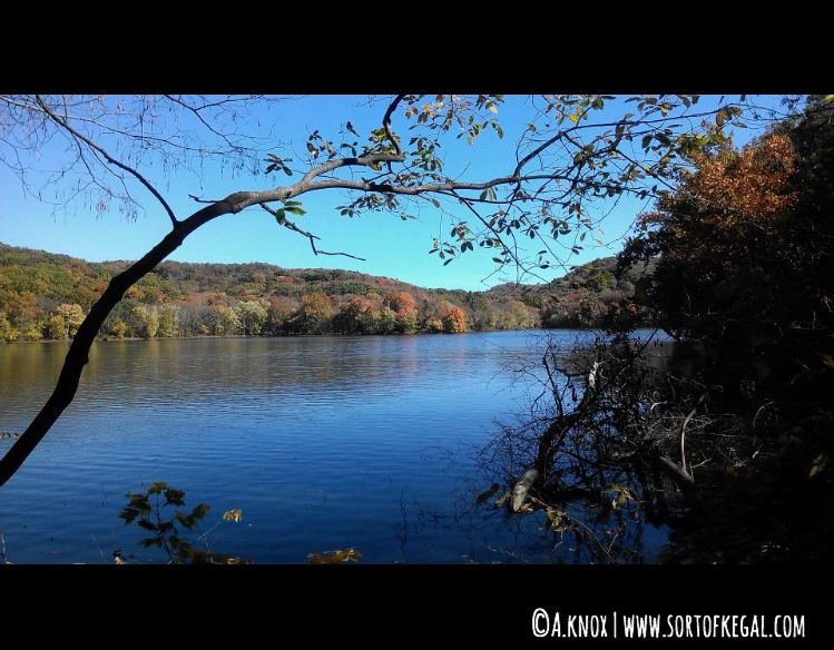 Radnor Lake, Nashville, TN Lake View