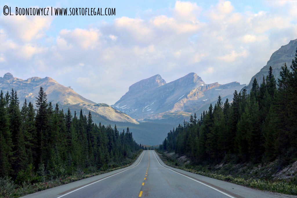 Icefields Parkway, the glorious road to many hikes in Banff, Canda