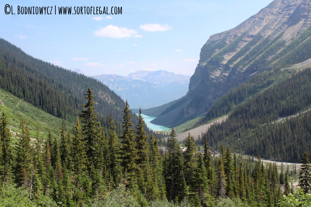 View of Lake Louise from trail to Plain of Six Glaciers Tea House, a hike in only tea house shot by Larissa Bodniowycz