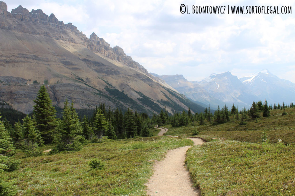 Helen Lake Trail, Banff, Canada