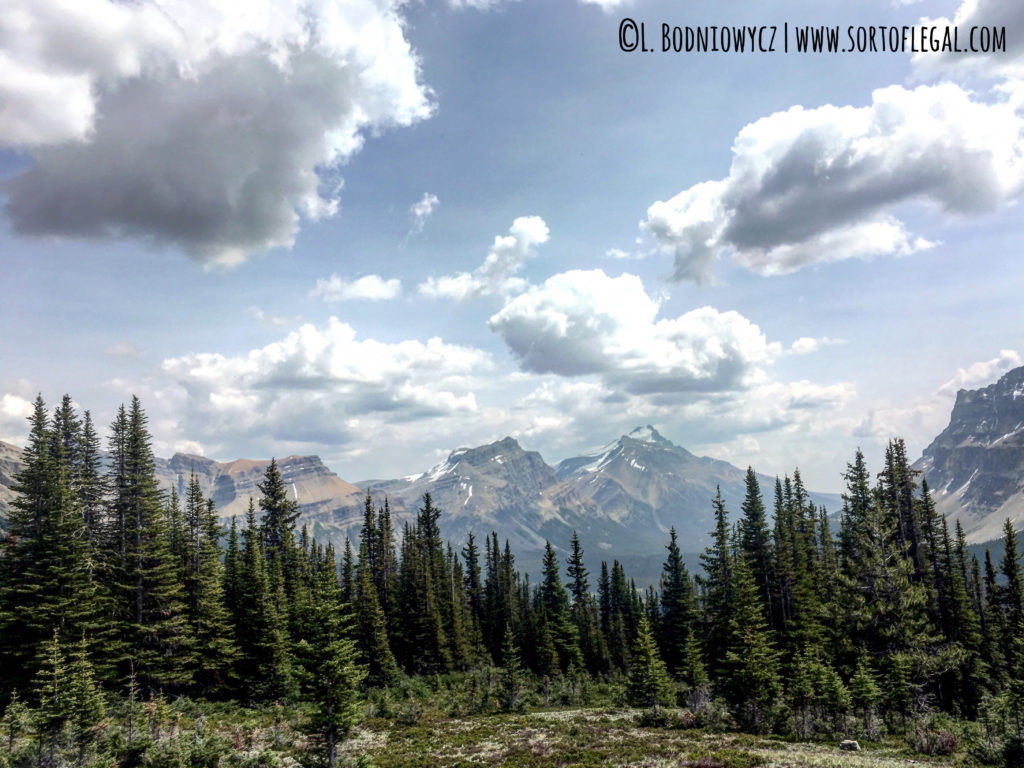 Near Inkpots via Johnston Canyon hike. Banff, Canada, Alberta Province