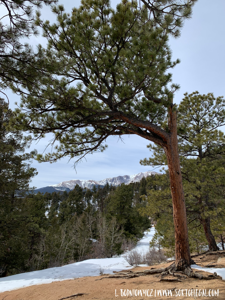 Things to Do Manitou Springs: Barr Trail Hike in Winter