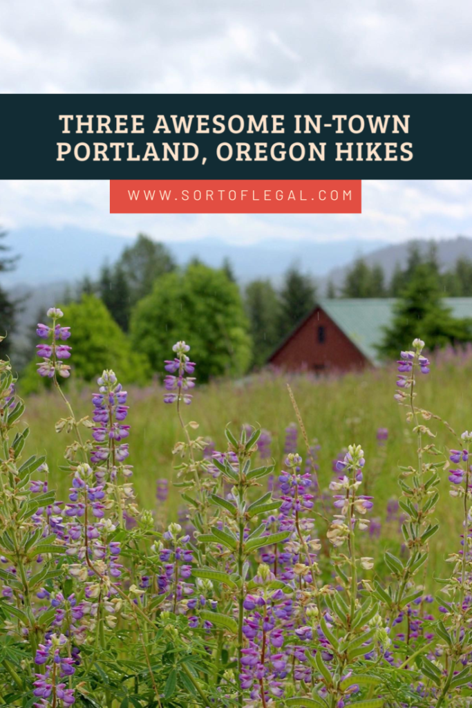 Three Awesome PDX In Town Hikes Header with Flowers
