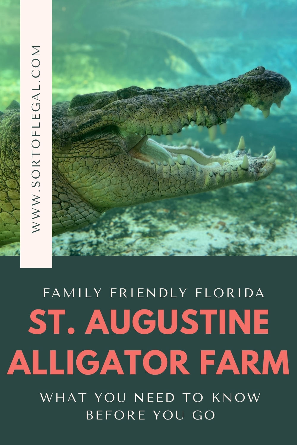 St Augustine, Florida Alligator Farm - Title Image